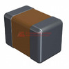 SH21B223K101CT Image