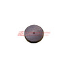CM-0499 Image